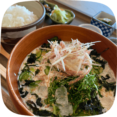 なりかけとうふの冷汁御膳